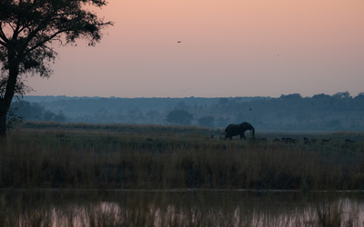Morgenstimmung am Choberiver – Monika Gudrian