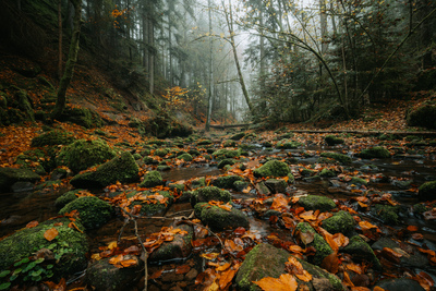 Monbachtal – Stan Schreiber