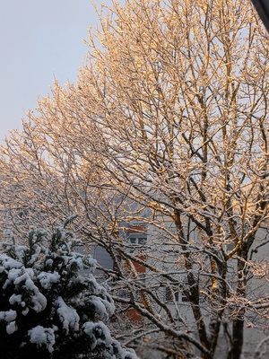 Special Moment – Sylvia Seitz