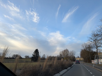 Mystic – Sylvia Seitz