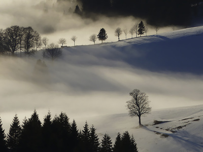 Gratwanderung – Bernd Schulz