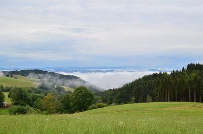 Wolkennebel – Ann-Kathrin Turnbull