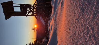 Hornisgrinde beim Sonnenaufgang – Friederike Lehberger