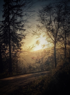 Früher als die Sonne da – Simon Ulfstedt