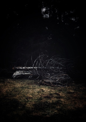 Im Dunkeln lässt s sich munkeln – Simon Ulfstedt