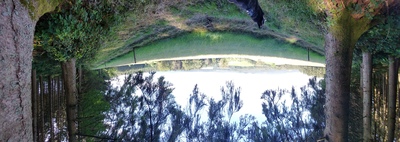 Ausblick mit Husky – Achim Müller