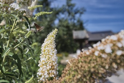 Natur – Jürgen Nordwald