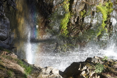 Wünsch dir was! – Agathe Patalas