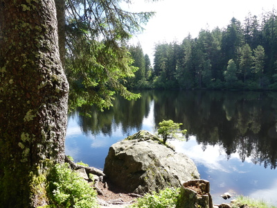 Mathislesweiher in Hinterzarten – Birgit Fischer