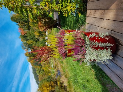 Erika – Alexandra Schmidt