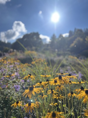 Von der Sonne geküsst – Marijana Puzjak