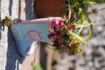 Eule am Schuh – Miriam Bleiholder