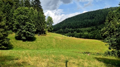 Grüne Meile – Jutta Seidler