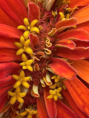 „das kleine Wunder im grossen Wunder“ – Dr.Ariane Hauth