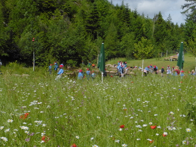 Viele rote Farbtupfer in den Forbachgärten. – Thomas Prenosil