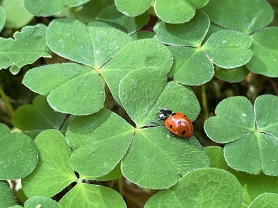 GLÜCKsspiel – Matthias Burda