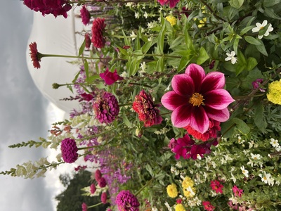 Xentrum – Sabine Reiser