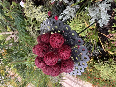 Ein Stück Schwarzwald im Garten – Diana Ho