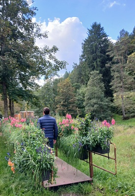 Woher..Wohin? - Im Tal X – Yvonne Maier-Borst