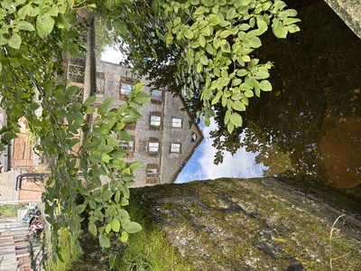 Spiegelbild – Kerstin Paries