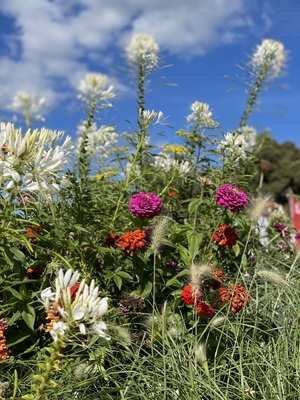 Entspann Dich! – Alexandra Burkhardt