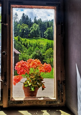 Fensterblick vom Platzmeisterhaus – Cornelia Seibold