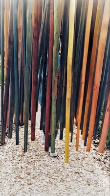 Stabwechsel – Cornelia Seibold