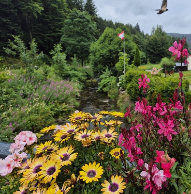 Im Tal X – Sabine Geiger