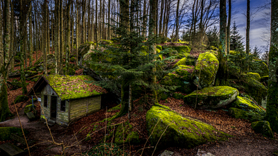 Märchenwald – Michael Böhly