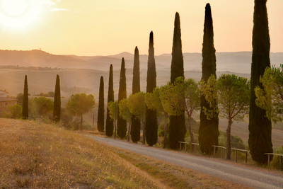 Morgenstimmung in der wunderschönen Toskana – Ursula Vogler