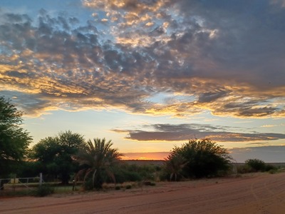 Abendstimmung in der Kalahari – Andrea Hussong