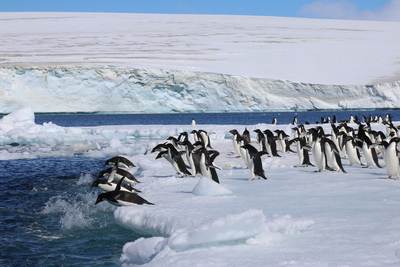 Auf die Plätze, fertig, los! – Ulrike Greeb