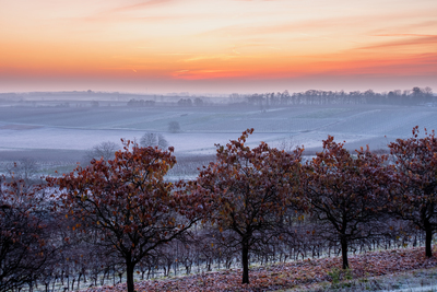 Wintermorgen – Callista Kapper-Beck