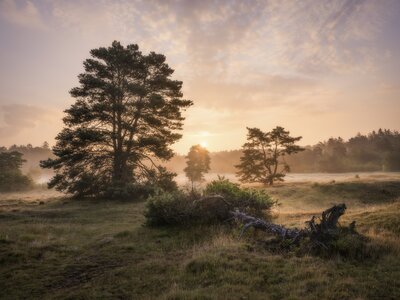Die Vergänglichkeit des Lebens – Markus van Hauten