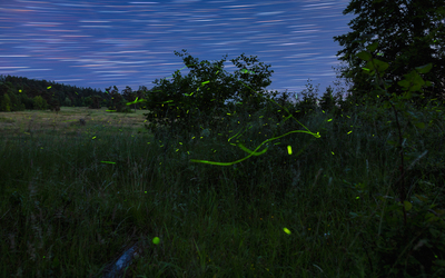 Der letzte Tanz – Kevin Kistermann