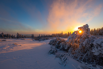 Winterlandschaft auf der Hornisgrinde – Thomas Schimmele
