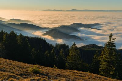 Nebelmeer im Rheintal – Oliver Kusch