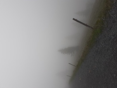 Der Belchen – Yvonne Maier-Borst