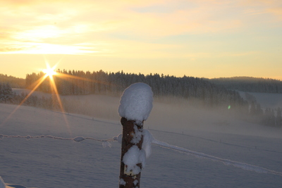 Die ersten Strahlen der Morgensonne – Hanna Faller