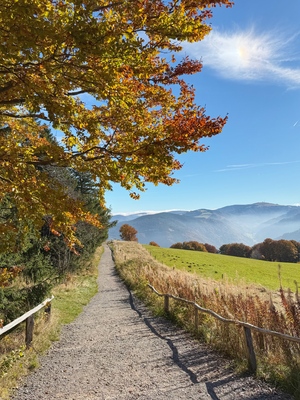 Herbstspaziergang am Schauinsland – Franziska Gassner