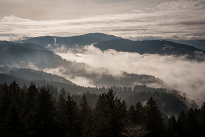 Nebel-Blick von Stohren zum Belchen – Sandra Biehler