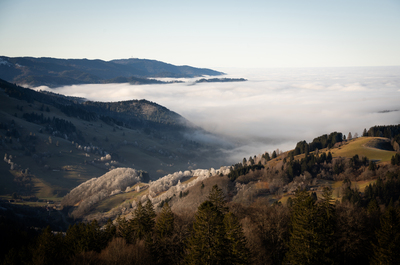 Winterliche Stimmung im Münstertal – Sandra Biehler